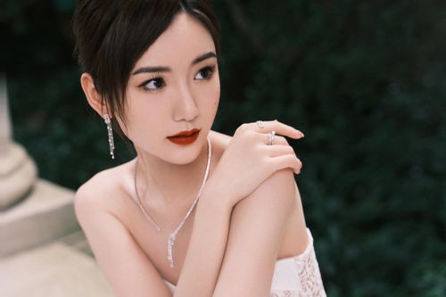 Mao Hiểu Đồng bị nợ 2 triệu USD
