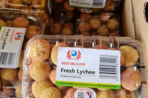Vải thiều Thanh Hà bán hơn 500.000 đồng/kg tại Pháp