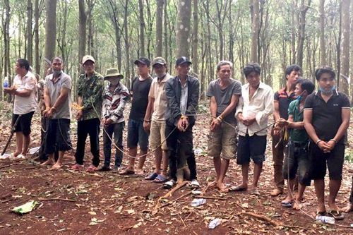 Bất chấp dịch bệnh hàng chục đối tượng lập sới đá gà ăn tiền trong rừng