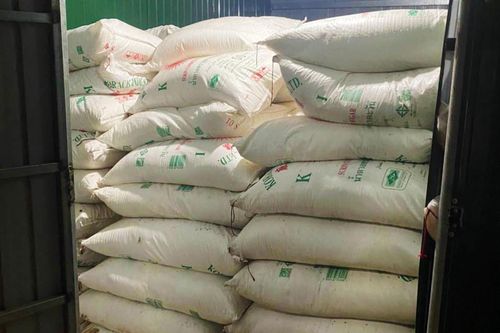 Bắt giữ 41 tấn đường nhập lậu trong một đêm ở vùng biên Quảng Trị