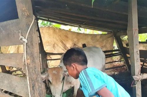 Cậu học trò nghèo bị 'giam' học bạ: Trưởng phòng Giáo dục lên tiếng