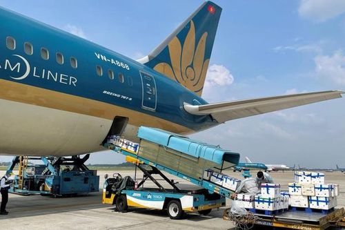 Đề nghị hàng không giảm giá cước vận chuyển vải thiều Bắc Giang