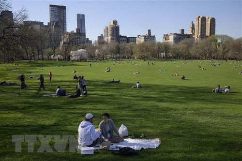 Mỹ: Bang New York lên kế hoạch dỡ bỏ tất cả biện pháp hạn chế