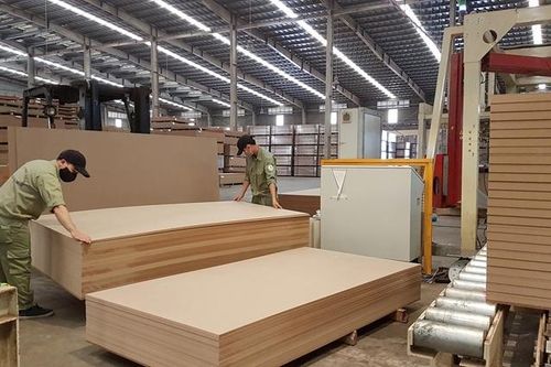 Xuất khẩu gỗ và sản phẩm gỗ sang EU tăng trưởng tích cực