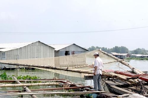 Xử lý nghiêm trường hợp khai thác thủy sản tận diệt