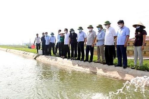 Phó Bí thư Thường trực Tỉnh ủy thăm mô hình nông nghiệp tại huyện Cẩm Khê