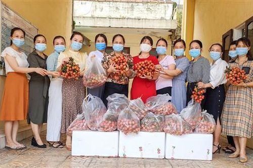Phụ nữ Quảng Trị hỗ trợ Bắc Giang tiêu thụ vải thiều