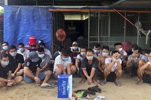 Phá trường gà con bạc muốn chơi phải chuyển tiền trước vô tài khoản
