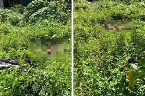 Hòa Bình: Phát hiện thi thể nam thanh niên ở ven Quốc lộ 21A
