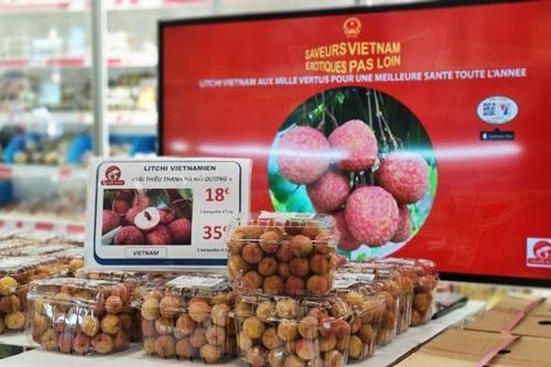 Lần đầu đến Paris, trái vải Việt Nam được bán với giá hơn 500 nghìn đồng/kg