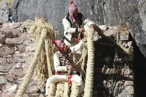 Dựng lại 'cây cầu sống của người Inca'