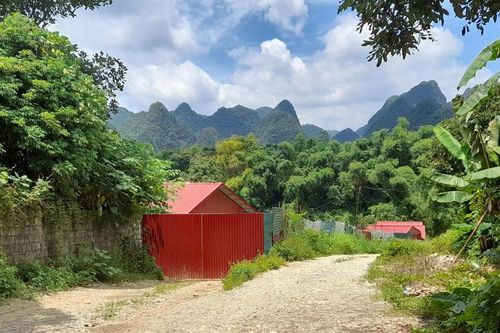 Cơ sở sơ chế chân gà hoạt động khi chưa được cấp phép