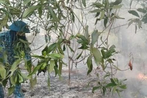 Bộ đội Trung đoàn 238, Sư đoàn 363 tham gia dập tắt đám cháy rừng