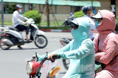 Chênh lệch nhiệt độ giữa đường 'xanh mát' và phố vắng bóng cây tại Hà Nội