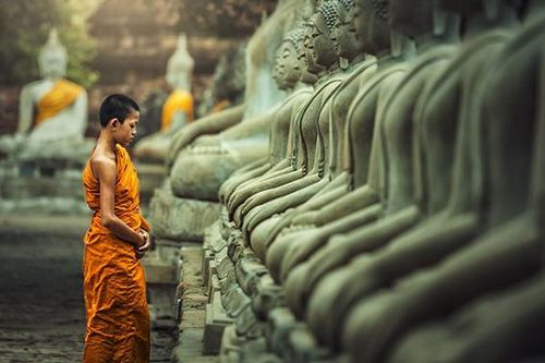 Cúi đầu là bông lúa, ngẩng đầu là cỏ dại: Ai trưởng thành cũng ít nhất 3 lần cúi đầu