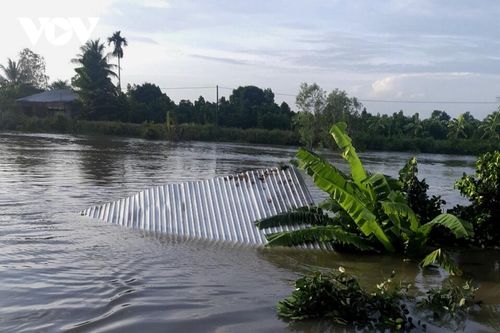 Hậu Giang: Sạt lở liên tiếp tại nhiều nơi ở huyện Châu Thành