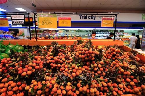 Chung tay hỗ trợ người nông dân tiêu thụ nông sản