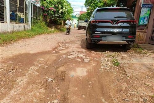 Về con đường trong bài báo 'Hơn 30 năm mong mỏi một con đường': UBND tỉnh yêu cầu xử lý kiến nghị của người dân
