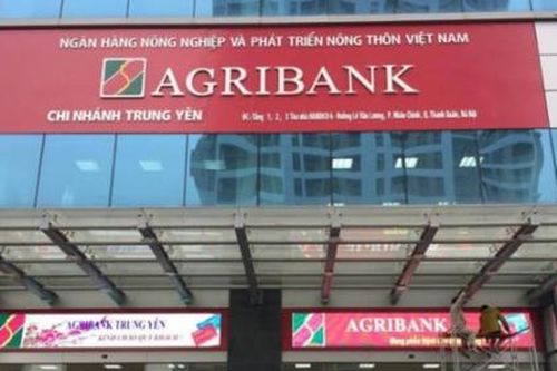 Agribank: Nợ xấu tăng 30%, 'ôm' 89% bất động sản thế chấp