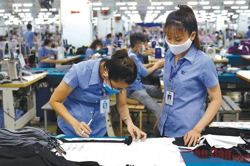 Quy định 'trói chân' doanh nghiệp