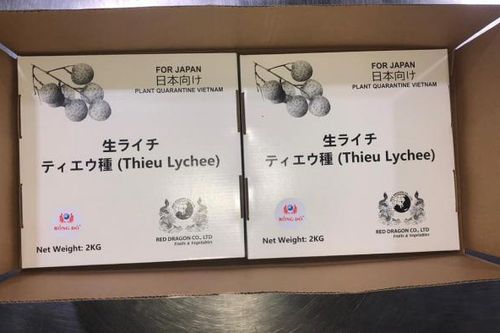 Mất 5 năm đàm phán, vải thiều Việt Nam hái 'quả ngọt' tại Nhật Bản