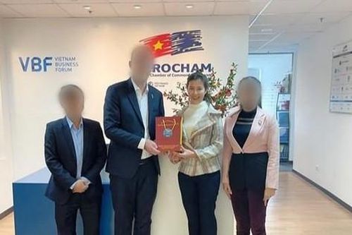 Thu hồi quyết định bổ nhiệm nữ Phó giám đốc Sở 31 tuổi ở Vĩnh Phúc