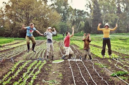 Quốc gia nhỏ bé này đã thay đổi nền nông nghiệp cả thế giới