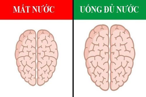 7 thói quen có thể làm thay đổi não bộ