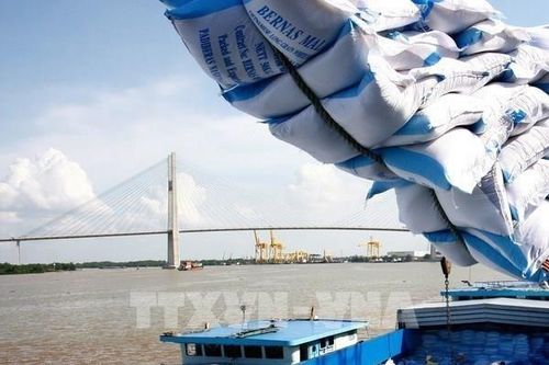 Ngăn chặn nguy cơ gian lận xuất xứ gạo Việt Nam