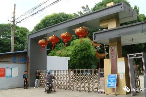 Sinh viên 'dở khóc dở cười' vì phải bán hết 20 thùng xoài mới được công nhận tốt nghiệp đại học