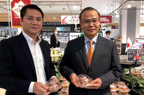 Vải thiều Việt Nam được doanh nghiệp Nhật Bản 'đua' nhau nhập hàng