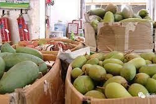Đại học Trung Quốc bắt sinh viên bán hết 20 thùng xoài mới cho tốt nghiệp