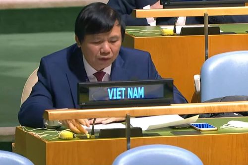 Các bên ở Myanmar cần ngừng ngay bạo lực, khôi phục lòng tin, bắt đầu đối thoại, hòa giải
