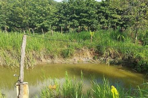 Gia Lai: 2 mẹ con đuối nước tử vong