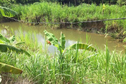Cứu con đuối nước, cả hai mẹ con tử vong