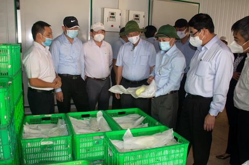 Thường trực Tỉnh ủy kiểm tra, khảo sát tại Đơn Dương