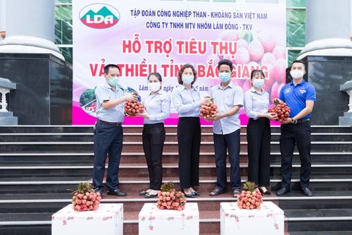 Công ty Nhôm Lâm Đồng chung tay hỗ trợ Bắc Giang tiêu thụ vải thiều