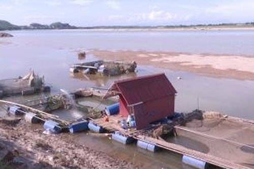 Khắc phục tình trạng cá lồng chết hàng loạt