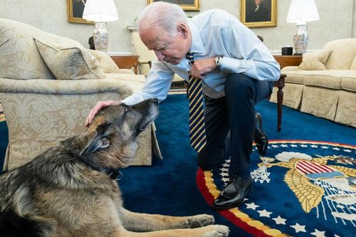 Ông Biden thông báo đệ nhất khuyển đã qua đời