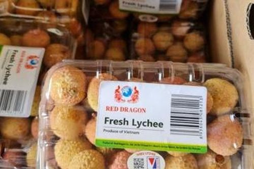 Vải thiều Việt lần đầu đến Hà Lan, giá hơn 550.000 đồng/kg