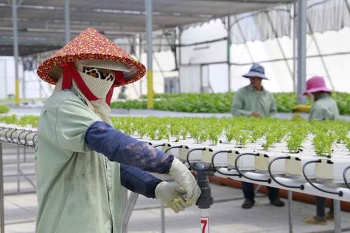 Đông Nam Á tận dụng công nghệ của Israel để cải thiện kỹ thuật canh tác