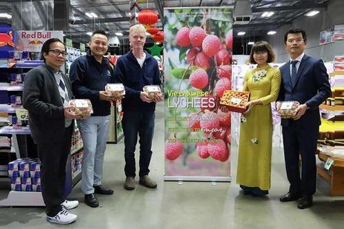Đấu giá vải thiều Việt Nam tại Úc: Một hộp vải tươi nhất chốt giá 3.000 AUD