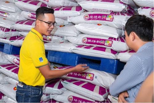 Phân bón Cà Mau thuộc top 50 doanh nghiệp niêm yết tốt nhất
