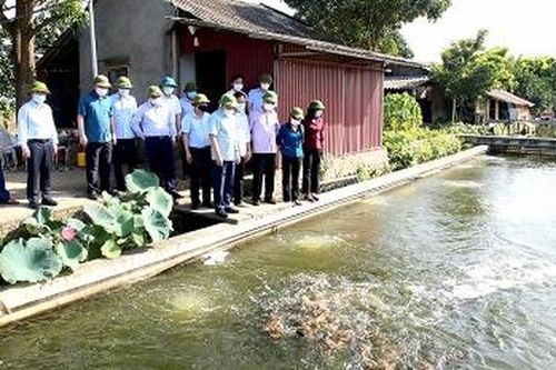 Phó Bí thư Thường trực Tỉnh ủy thăm mô hình nông nghiệp tại Thanh Thủy