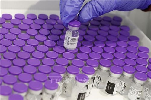 Cảnh báo vaccine của Pfizer làm tăng khả năng phát triển bệnh máu hiếm gặp