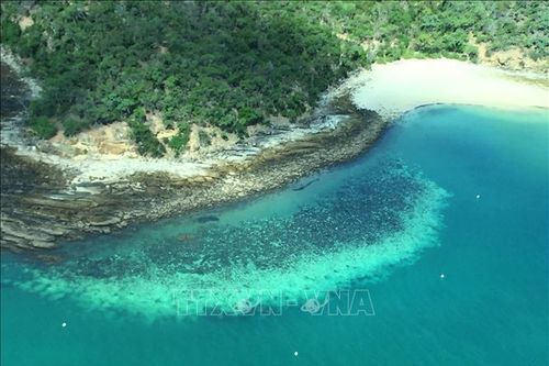Australia phản đối UNESCO đưa rạn san hộ Great Barrier vào danh sách 'gặp nguy hiểm'