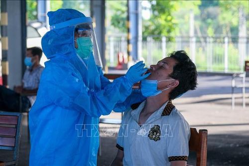 Sinh viên Đại học Y Dược Cần Thơ tham gia phòng, chống dịch COVID-19