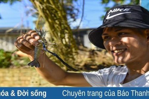 Chủ hồ câu kiếm tiền triệu từ dịch vụ câu tôm giải trí