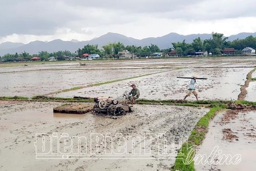 Khẩn trương sản xuất lúa vụ mùa