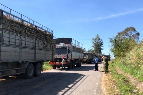 Xử phạt hơn 550 triệu đồng trong lĩnh vực kinh doanh vận tải